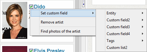 Set a custom field